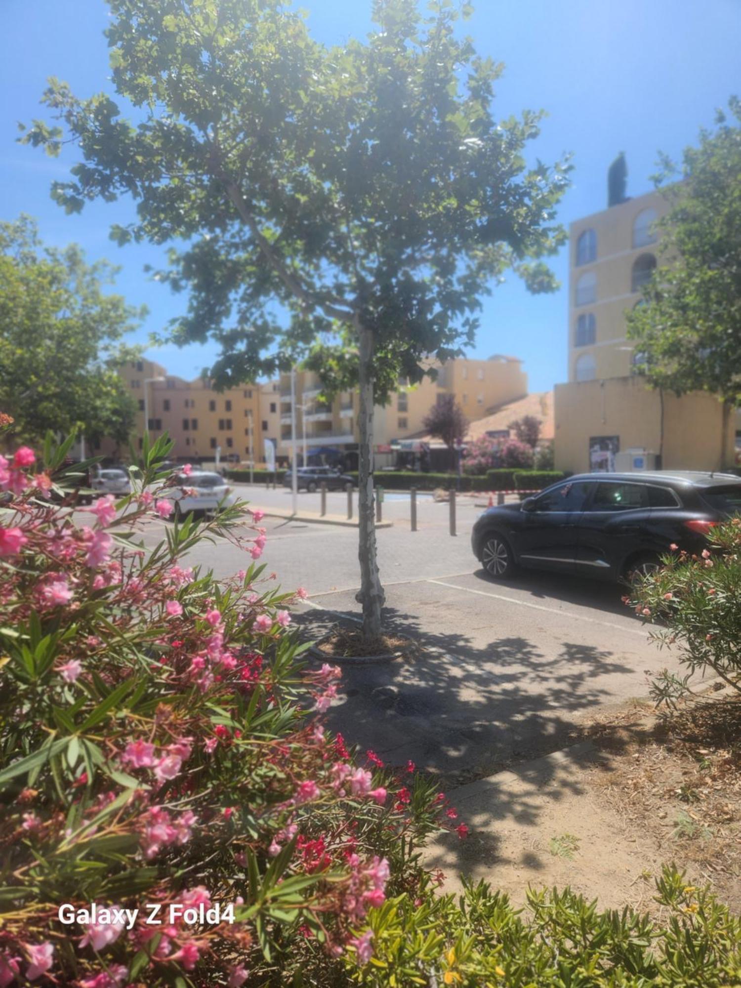 Grand Studio Cabine Proche Plage Et Port 格吕桑 外观 照片